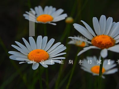 信用卡逾期本行储蓄卡