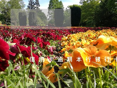 信用卡逾期本行银行卡自动扣款