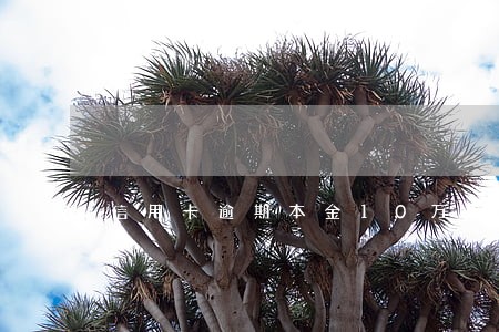 信用卡逾期本金10万以上