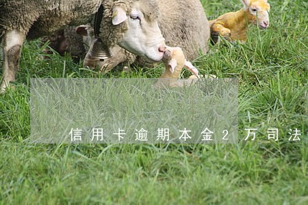信用卡逾期本金2万司法取证 信用卡逾期本金2万司法取证