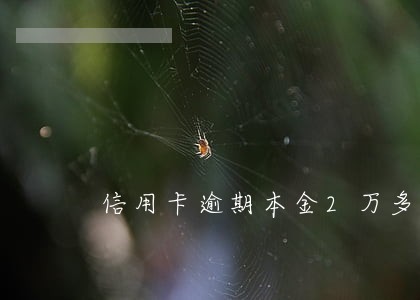 信用卡逾期本金2万多一直都在还