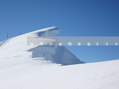 信用卡逾期本金8000
