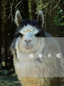 信用卡逾期本金一万五 信用卡逾期本金一万五
