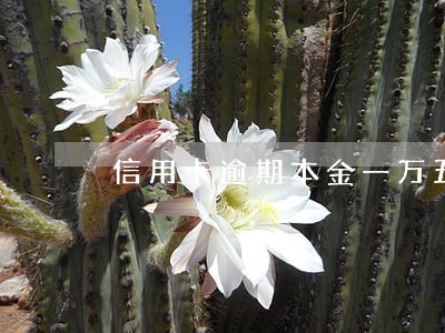 信用卡逾期本金一万五会上门吗 信用卡逾期本金一万五会上门吗