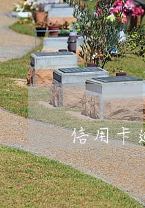 信用卡逾期本金一万会上诉吗