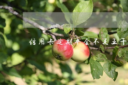 信用卡逾期本金不足五千 信用卡逾期本金不足五千