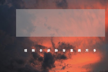 信用卡逾期本金两万多 信用卡逾期本金两万多