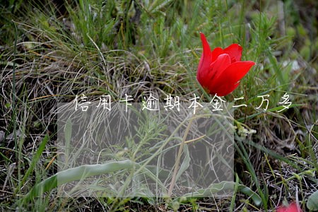 信用卡逾期本金二万多 信用卡逾期本金二万多