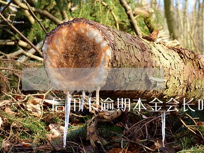 信用卡逾期本金会长吗 信用卡逾期本金会长吗