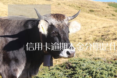 信用卡逾期本金分期是什么意思