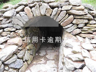 信用卡逾期本金分期是真的吗 信用卡逾期本金分期是真的吗