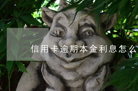 信用卡逾期本金利息怎么算 信用卡逾期本金利息怎么算