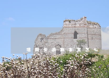 信用卡逾期本金怎么