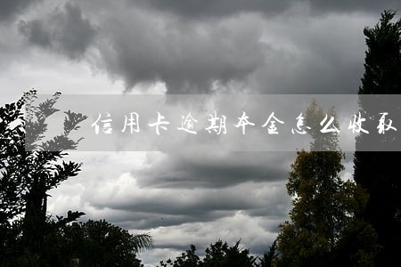 信用卡逾期本金怎么收取 信用卡逾期本金怎么收取