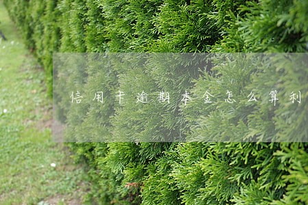 信用卡逾期本金怎么算利息 信用卡逾期本金怎么算利息