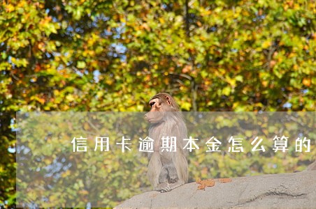 信用卡逾期本金怎么算的 信用卡逾期本金怎么算的