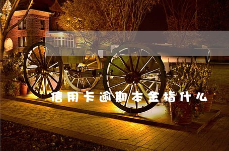 信用卡逾期本金指什么 信用卡逾期本金指什么