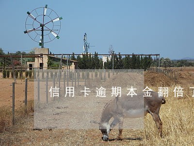 信用卡逾期本金翻倍了
