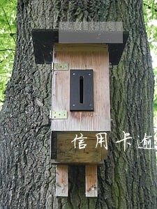 信用卡逾期本金超过5w 信用卡逾期本金超过5w