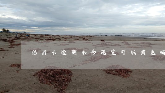 信用卡逾期本金还完可以减免吗