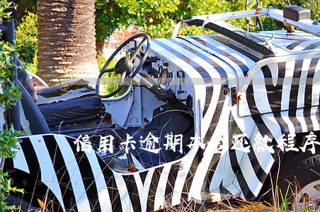 信用卡逾期本金还款程序