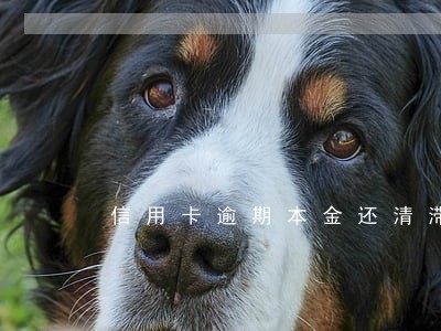 信用卡逾期本金还清滞纳金 信用卡逾期本金还清滞纳金