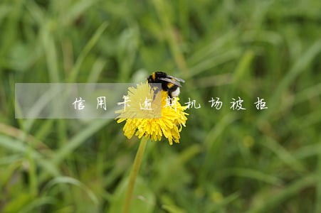 信用卡逾期机场被拒