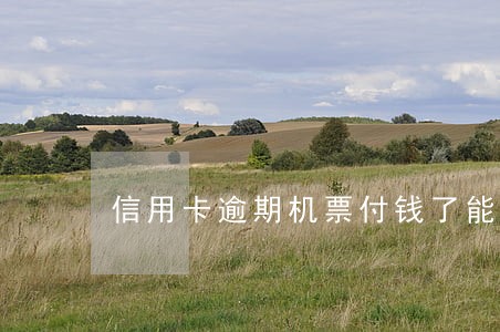 信用卡逾期机票付钱了能出票么