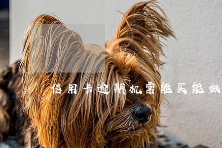 信用卡逾期机票能买能做吗
