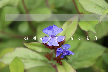 信用卡逾期村委会上门 信用卡逾期村委会上门
