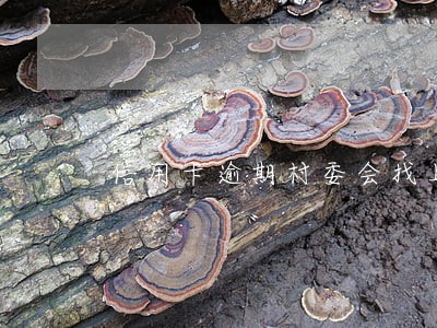 信用卡逾期村委会找上门会怎么样