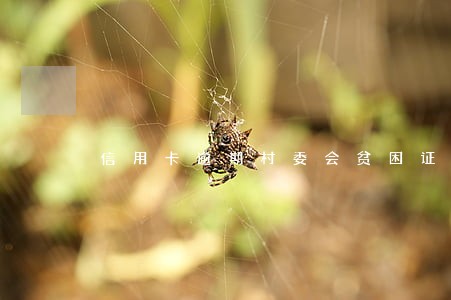 信用卡逾期村委会贫困证明开不了 信用卡逾期村委会贫困证明开不了