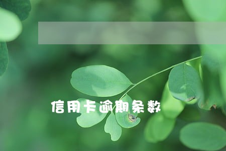 信用卡逾期条数