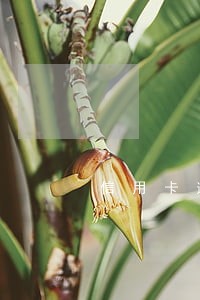 信用卡逾期条款模板 信用卡逾期条款模板