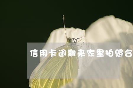 信用卡逾期来家里拍照合法吗 信用卡逾期来家里拍照合法吗
