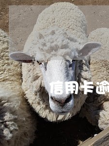 信用卡逾期来我家 信用卡逾期来我家