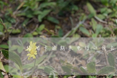 信用卡逾期来电话让我去公安 信用卡逾期来电话让我去公安