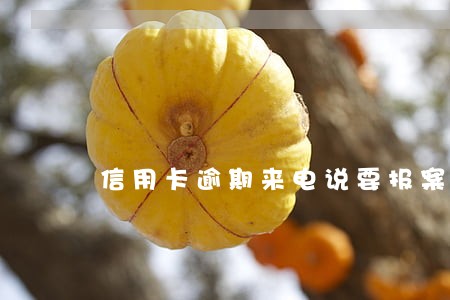 信用卡逾期来电说要报案处理