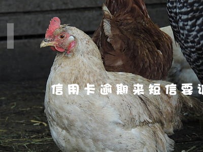 信用卡逾期来短信要诉讼