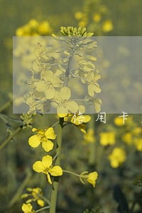 信用卡逾期来聊聊 信用卡逾期来聊聊