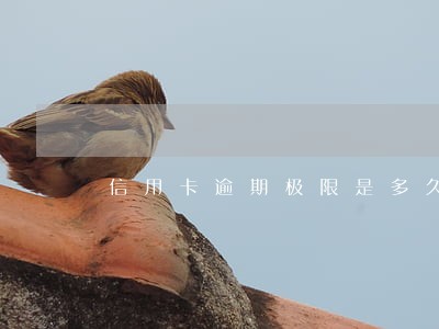 信用卡逾期极限是多久