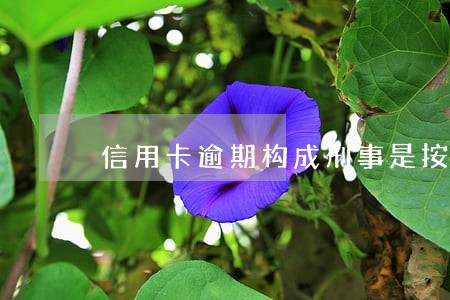 信用卡逾期构成刑事是按本金计算