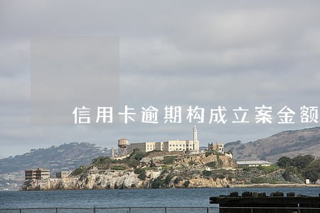 信用卡逾期构成立案金额 信用卡逾期构成立案金额
