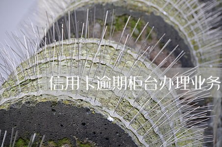信用卡逾期柜台办理业务 信用卡逾期柜台办理业务