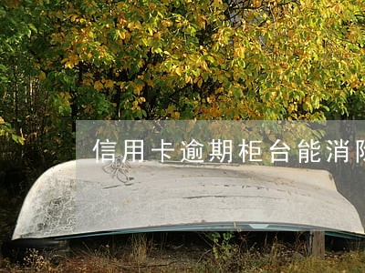 信用卡逾期柜台能消除吗 信用卡逾期柜台能消除吗