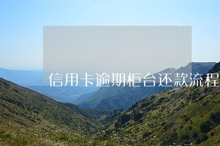 信用卡逾期柜台还款流程 信用卡逾期柜台还款流程