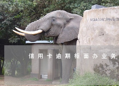 信用卡逾期柜面办业务