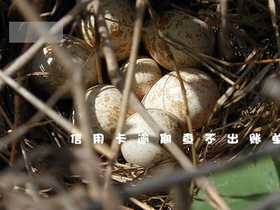 信用卡逾期查不出账单怎么办