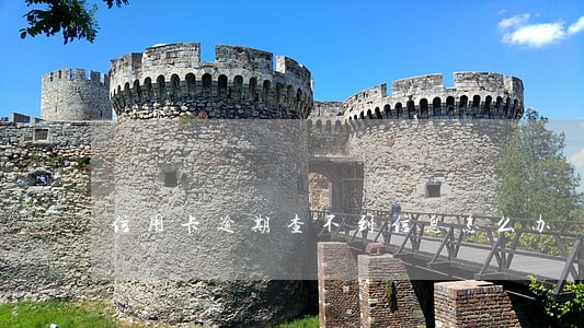 信用卡逾期查不到信息怎么办