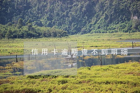信用卡逾期查不到明细 信用卡逾期查不到明细